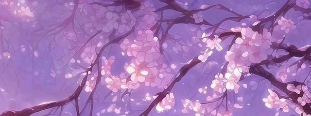 零さんの壁紙画像