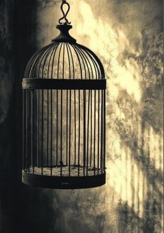 愛してくれないならいいよ〜溺愛されるまで後？？日〜