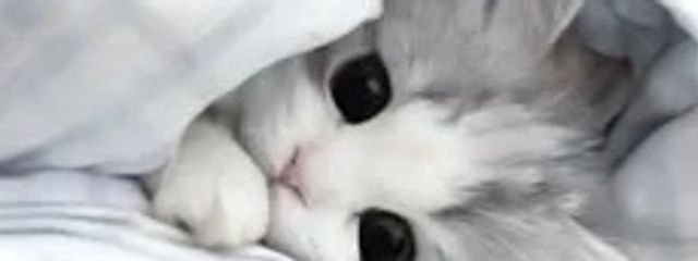 🫧🍓🪽🫧🛹💞ゆいぴー👑🎀🐣‪ ❄️🥀🎲さんの壁紙画像