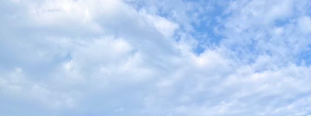 たむさんの壁紙画像