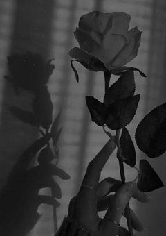 𝟝𝟜字 ノ 物語