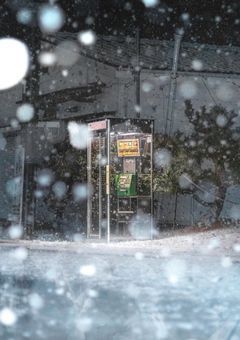 雪華 ₉ と 宝石 ₆