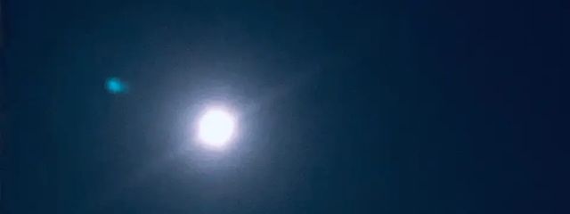 推しが可愛いさんの壁紙画像