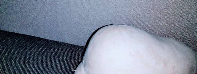 しふとさんの壁紙画像