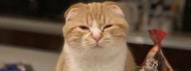 かなめさんの壁紙画像