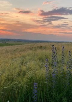 精気を摂ることでレベルアップできるチート手に入れました