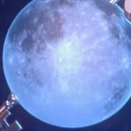 🌷🤍🎀さんのアイコン画像