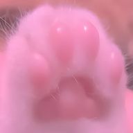 Akemy🎧☁さんのアイコン画像