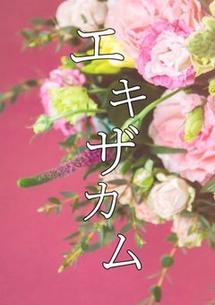 エキザカム～番外編～