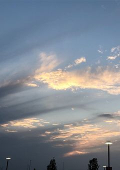 BTSのマネがAROHAだったら多分こうなる