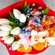 もかさんのアイコン画像