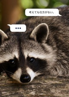 泥舟ノート（たぬき時代編）