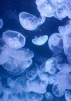 　　1000人記念の企画について　　