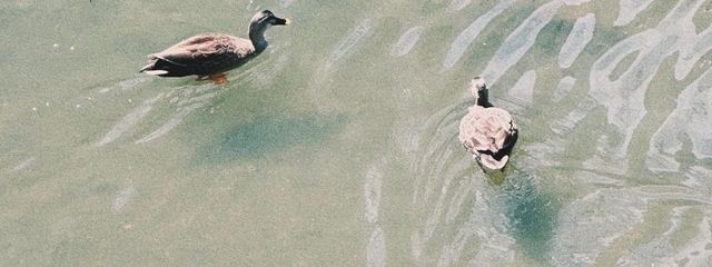 cecil@停止中さんの壁紙画像