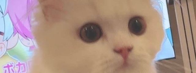 ➰さんの壁紙画像