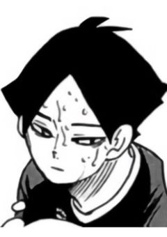 フェネックギツネと、チベットスナギツネ