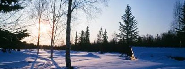 さくらもちゃぁフォロバ∞%？さんの壁紙画像