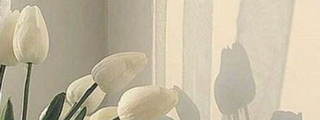 rom_Latteさんの壁紙画像