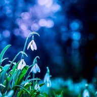 ☁소라☁さんのアイコン画像