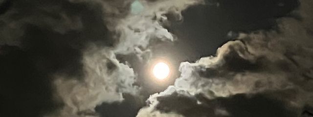 Ayahaさんの壁紙画像