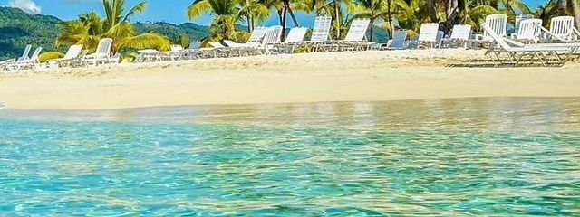 ゆりかもめ。🕊 さんの壁紙画像