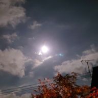 ともさんのアイコン画像