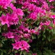 jnyhtさんのアイコン画像