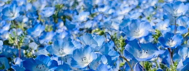 麗さんの壁紙画像