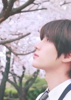     隣 人 は 隣 の 席