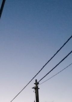 私に秀でたものが欲しいです