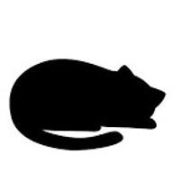 猫羽　唯斗@意味怖出版社さんのアイコン画像