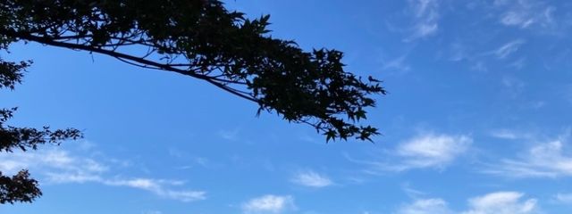 唯音さんの壁紙画像
