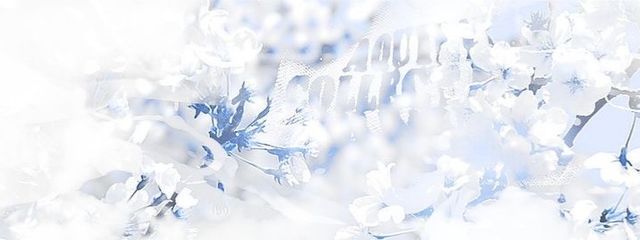 叶向さんの壁紙画像