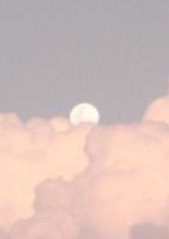 不良君はブラコン生徒会長を落としたい