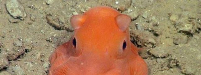 乃々花@活動休止中さんの壁紙画像