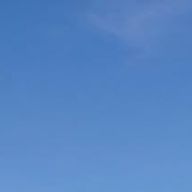 さきさんのアイコン画像