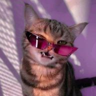 変幻自在な猫又チャン@ST#jr#ygさんのアイコン画像