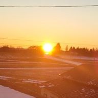 るーり フォロバ100％！さんのアイコン画像