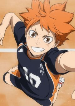 日向翔陽が好きすぎるアイドル…いやスポーツ選手…え本業どっち？！みんなの王子様(男装である)