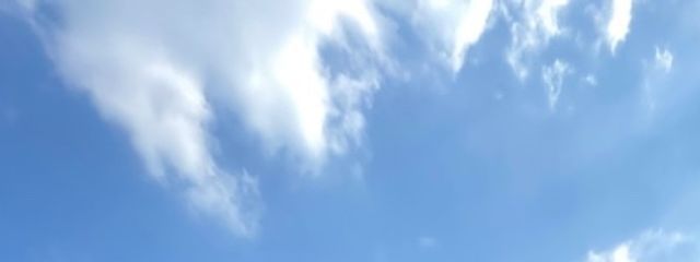 みたっぴさんの壁紙画像