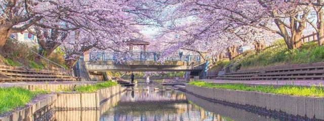 reさんの壁紙画像