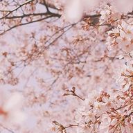 reさんのアイコン画像