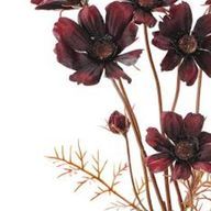 Yさんのアイコン画像