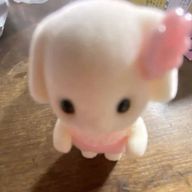 ゆちゃさんのアイコン画像