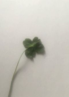 愛。