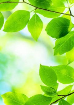 翔生の妄想部屋