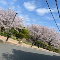 ⚾️SHIORI⚽️さんのアイコン画像