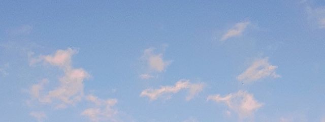 はやと　　(*´꒳`*)さんの壁紙画像
