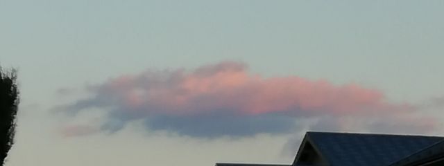 柊朔さんの壁紙画像