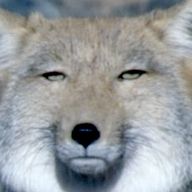 味の素さんのアイコン画像